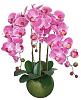 Orchidea storczyk XL 90cm rózne kolory zobacz galerię